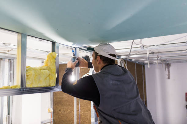 Best Energy-efficient Insulation  in Speers, PA