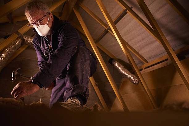 Best Fiberglass Insulation  in Speers, PA